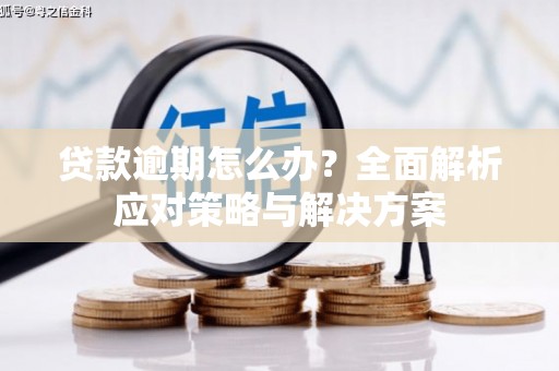 兴宾贷款逾期怎么办？全面解析应对策略与解决方案