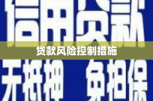 兴宾贷款风险控制措施