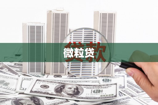 兴宾微粒贷