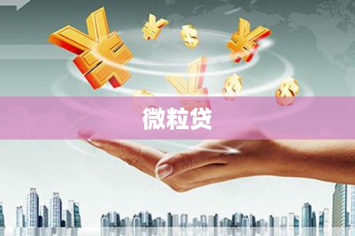 兴宾微粒贷