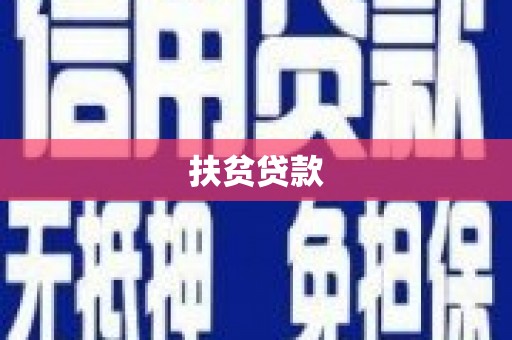 兴宾扶贫贷款