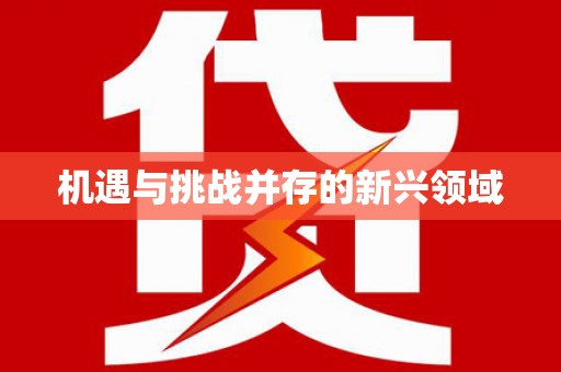 兴宾机遇与挑战并存的新兴领域