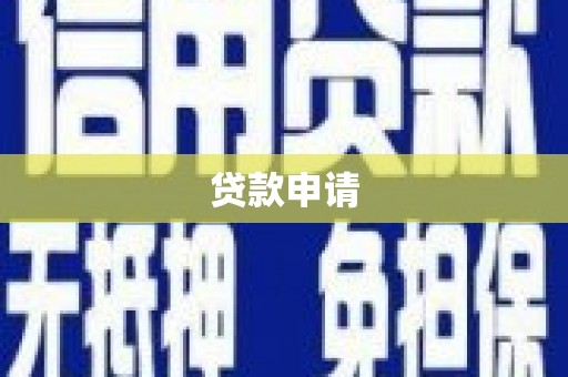 兴宾贷款申请