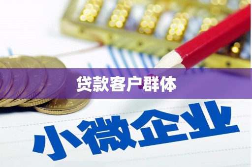 兴宾贷款客户群体