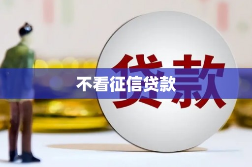 兴宾不看征信贷款