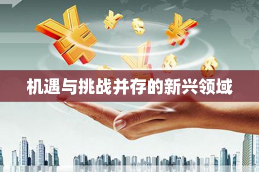 兴宾机遇与挑战并存的新兴领域