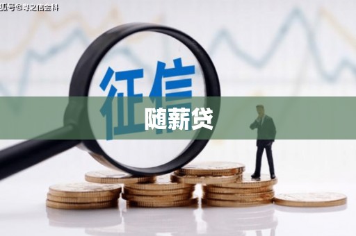 兴宾随薪贷