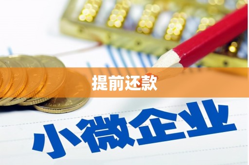 兴宾提前还款