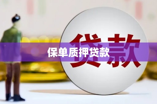 兴宾保单质押贷款