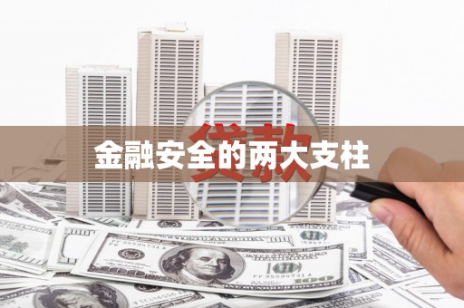 兴宾金融安全的两大支柱