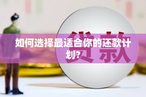 兴宾如何选择最适合你的还款计划？
