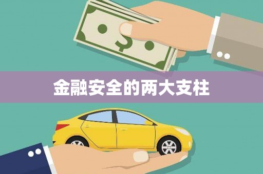 兴宾金融安全的两大支柱