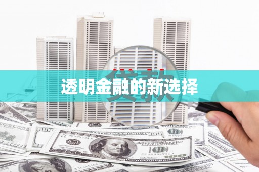 兴宾透明金融的新选择
