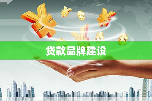 兴宾贷款品牌建设