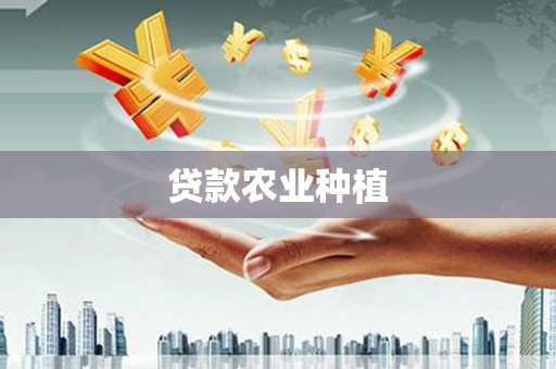 兴宾贷款农业种植