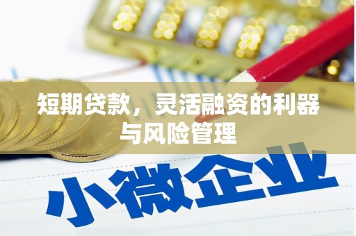 兴宾短期贷款，灵活融资的利器与风险管理