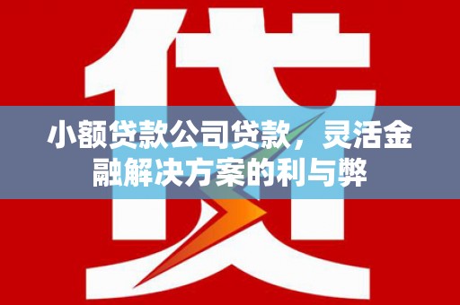 兴宾小额贷款公司贷款，灵活金融解决方案的利与弊