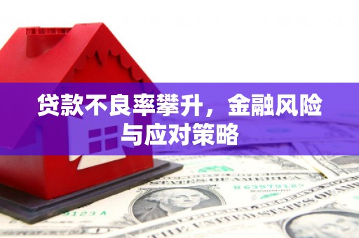 兴宾贷款不良率攀升，金融风险与应对策略
