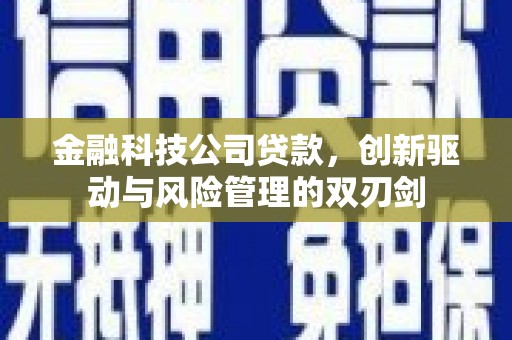 兴宾金融科技公司贷款，创新驱动与风险管理的双刃剑