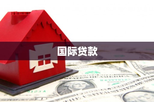 兴宾国际贷款